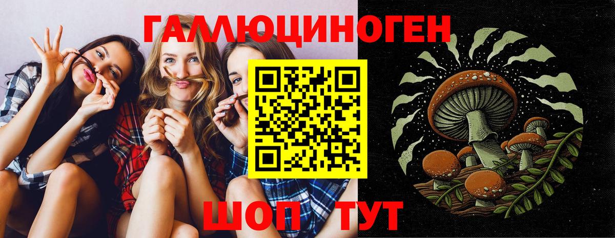 Псилоцибиновые грибы Psilocybine cubensis Гатчина