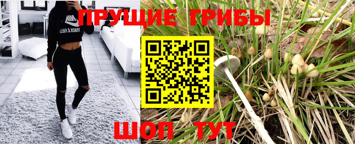 Псилоцибиновые грибы MAGIC MUSHROOMS  Вход с VPN  Гатчина 